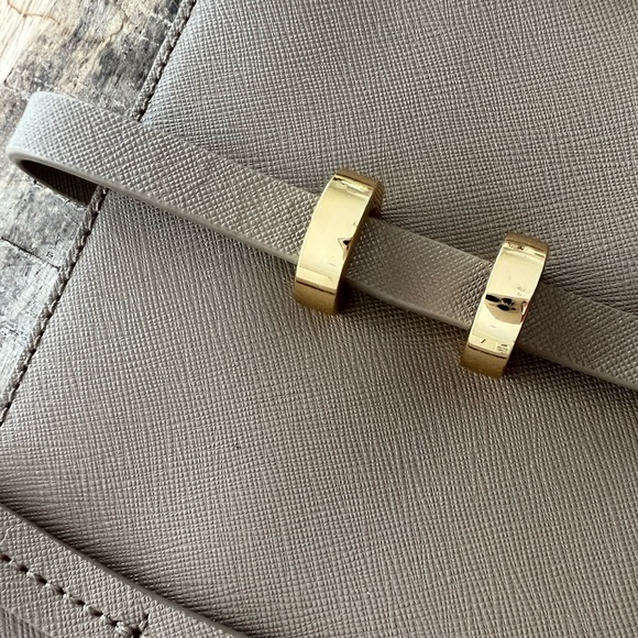 Zac Posen tote (elephant color).